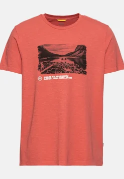 T-Shirt mit Print aus nachhaltigem Organic Cotton